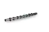 Nockenwelle Einlassseite Schaeffler INA 428 0185 10 Bild Nockenwelle Einlassseite Schaeffler INA 428 0185 10