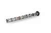 Nockenwelle Einlassseite Schaeffler INA 428 0189 10 Bild Nockenwelle Einlassseite Schaeffler INA 428 0189 10