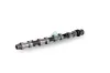 Nockenwelle Einlassseite Schaeffler INA 428 0196 10 Bild Nockenwelle Einlassseite Schaeffler INA 428 0196 10