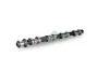 Nockenwelle Einlassseite Schaeffler INA 428 0196 10 Bild Nockenwelle Einlassseite Schaeffler INA 428 0196 10