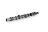 Nockenwelle Schaeffler INA 428 0198 10 Bild Nockenwelle Schaeffler INA 428 0198 10