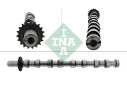 Nockenwelle Schaeffler INA 428 0205 10