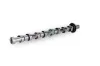 Nockenwelle Auslassseite Schaeffler INA 428 0205 10 Bild Nockenwelle Auslassseite Schaeffler INA 428 0205 10