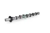 Nockenwelle Auslassseite Schaeffler INA 428 0205 10 Bild Nockenwelle Auslassseite Schaeffler INA 428 0205 10