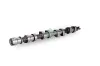 Nockenwelle Auslassseite Schaeffler INA 428 0213 10 Bild Nockenwelle Auslassseite Schaeffler INA 428 0213 10