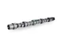 Nockenwelle Schaeffler INA 428 0231 10 Bild Nockenwelle Schaeffler INA 428 0231 10