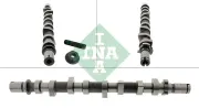 Nockenwelle Schaeffler INA 428 0252 10