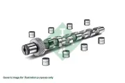 Nockenwellensatz Schaeffler INA 428 0032 30