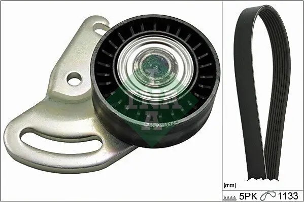 Keilrippenriemensatz Schaeffler INA 529 0178 10