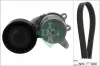 Keilrippenriemensatz Schaeffler INA 529 0268 10