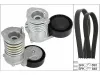 Keilrippenriemensatz Schaeffler INA 529 0477 10