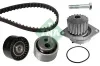 Wasserpumpe + Zahnriemensatz Schaeffler INA 530 0119 30