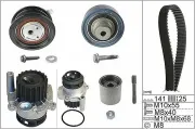 Wasserpumpe + Zahnriemensatz Schaeffler INA 530 0361 32