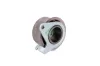 Spannrolle, Zahnriemen Schaeffler INA 531 0672 20 Bild Spannrolle, Zahnriemen Schaeffler INA 531 0672 20