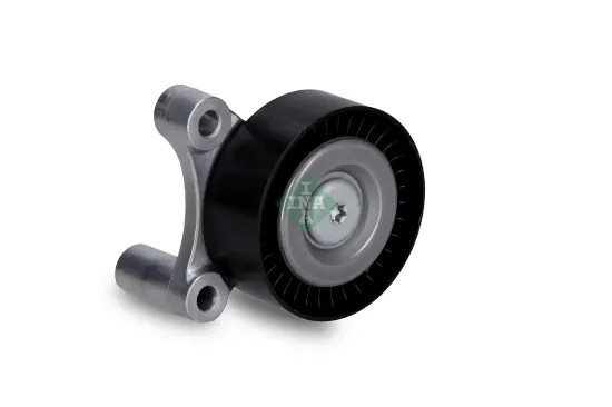 Umlenk-/Führungsrolle, Keilrippenriemen Schaeffler INA 532 1002 10 Bild Umlenk-/Führungsrolle, Keilrippenriemen Schaeffler INA 532 1002 10