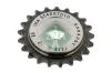 Zahnrad, Ausgleichswelle Einlassseite Schaeffler INA 554 0070 10 Bild Zahnrad, Ausgleichswelle Einlassseite Schaeffler INA 554 0070 10