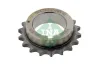 Zahnrad, Kurbelwelle Schaeffler INA 554 0161 10 Bild Zahnrad, Kurbelwelle Schaeffler INA 554 0161 10