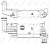 Ladeluftkühler NRF 30258 Bild Ladeluftkühler NRF 30258