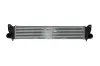 Ladeluftkühler NRF 30369 Bild Ladeluftkühler NRF 30369