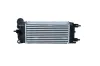 Ladeluftkühler NRF 30548 Bild Ladeluftkühler NRF 30548