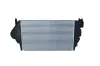 Ladeluftkühler NRF 30818 Bild Ladeluftkühler NRF 30818