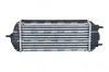 Ladeluftkühler NRF 309076 Bild Ladeluftkühler NRF 309076