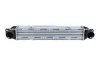 Ladeluftkühler NRF 309087 Bild Ladeluftkühler NRF 309087