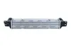 Ladeluftkühler NRF 309087 Bild Ladeluftkühler NRF 309087