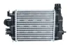 Ladeluftkühler NRF 309125 Bild Ladeluftkühler NRF 309125