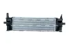Ladeluftkühler NRF 309171 Bild Ladeluftkühler NRF 309171