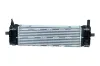 Ladeluftkühler NRF 309171 Bild Ladeluftkühler NRF 309171