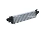 Ladeluftkühler NRF 30981 Bild Ladeluftkühler NRF 30981