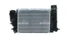 Ladeluftkühler NRF 30984 Bild Ladeluftkühler NRF 30984
