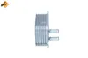 Ölkühler, Motoröl NRF 31071 Bild Ölkühler, Motoröl NRF 31071