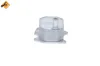 Ölkühler, Motoröl NRF 31212 Bild Ölkühler, Motoröl NRF 31212