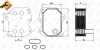 Ölkühler, Motoröl NRF 31212 Bild Ölkühler, Motoröl NRF 31212
