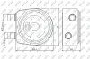 Ölkühler, Motoröl NRF 31247 Bild Ölkühler, Motoröl NRF 31247