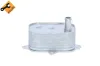 Ölkühler, Motoröl NRF 31788 Bild Ölkühler, Motoröl NRF 31788