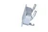 Ölkühler, Motoröl NRF 31846 Bild Ölkühler, Motoröl NRF 31846