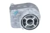 Ölkühler, Motoröl NRF 31881 Bild Ölkühler, Motoröl NRF 31881