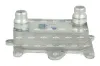 Ölkühler, Motoröl NRF 31907 Bild Ölkühler, Motoröl NRF 31907