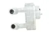 Ölkühler, Motoröl NRF 31942 Bild Ölkühler, Motoröl NRF 31942