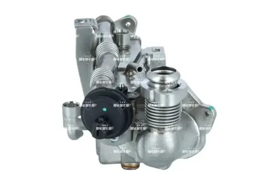 Kühler, Abgasrückführung NRF 48366 Bild Kühler, Abgasrückführung NRF 48366