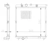 Kühler, Motorkühlung NRF 550016