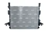 Kühler, Motorkühlung NRF 550313 Bild Kühler, Motorkühlung NRF 550313