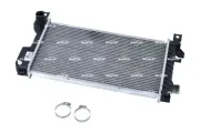 Kühler, Motorkühlung NRF 55314