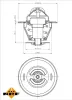 Thermostat, Kühlmittel NRF 725036 Bild Thermostat, Kühlmittel NRF 725036