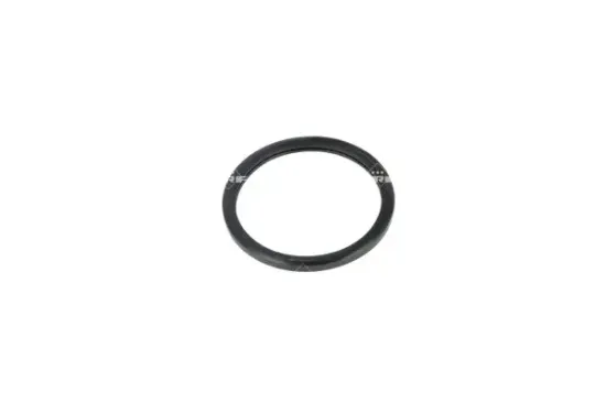 Thermostat, Kühlmittel NRF 725089 Bild Thermostat, Kühlmittel NRF 725089