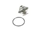 Thermostat, Kühlmittel NRF 725098 Bild Thermostat, Kühlmittel NRF 725098