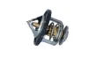 Thermostat, Kühlmittel NRF 725110 Bild Thermostat, Kühlmittel NRF 725110